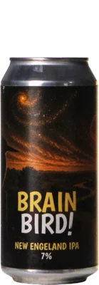 De Kwint Brainbird 44 IPA Bier kaufen