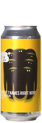 Bereta Think of 7 Names Right Now 44 IPA Bier kopen