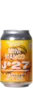 Jelster Mini Mango 33 IPA Bier kopen