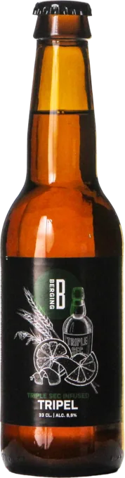Berging TR26 Triple Sec Infused Tripel 33 Tripel Bier kaufen