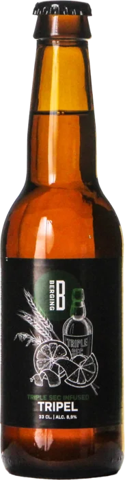 Berging TR26 Triple Sec Infused Tripel 33 Tripel Bier kaufen