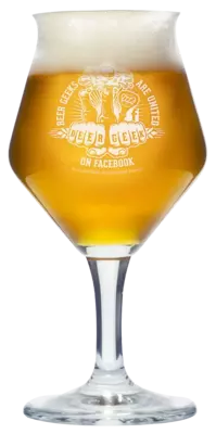 Beer Geeks glas
