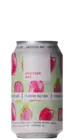 Untitled Art Florida Seltzer Prickly Pear Pink Guava
