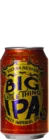 Sierra Nevada Big Little Thing 35,5 IPA Bier kaufen