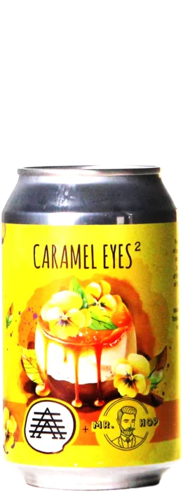 Alchemik Caramel Eyes 2 33 Stout Bier kaufen