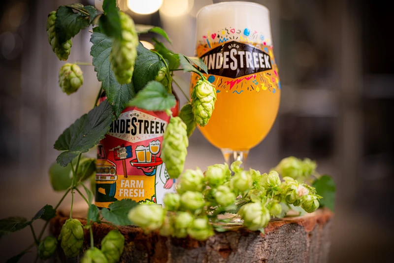 Fresh Hop bier wordt gebrouwen met ongedroogde hop, direct na de oogst.