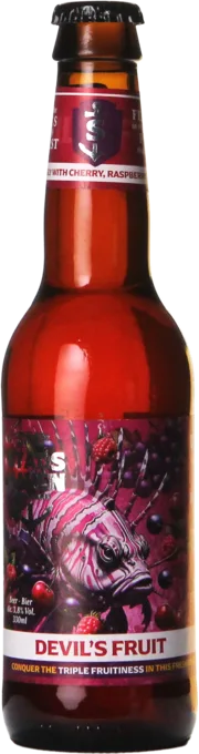 Stadshaven Devil’s Fruit 33 Fruchtbier Bier kaufen