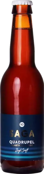 Zuyd Saga 10