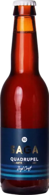 Zuyd Saga 10