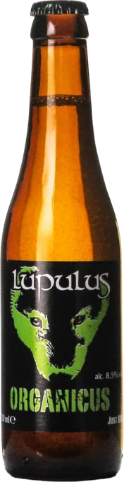 Lupulus Organicus Bio 33 Tripel Bier kopen