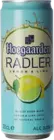 Hoegaarden Radler (Blik)