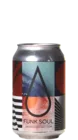 Anderson's Funk Soul 33 Pils Bier kopen
