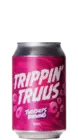 Two Chefs Trippin Truus