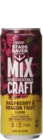 Stadshaven Mix Craft Raspberry & Dragonfruit 33 Mixgetränk Bier kaufen