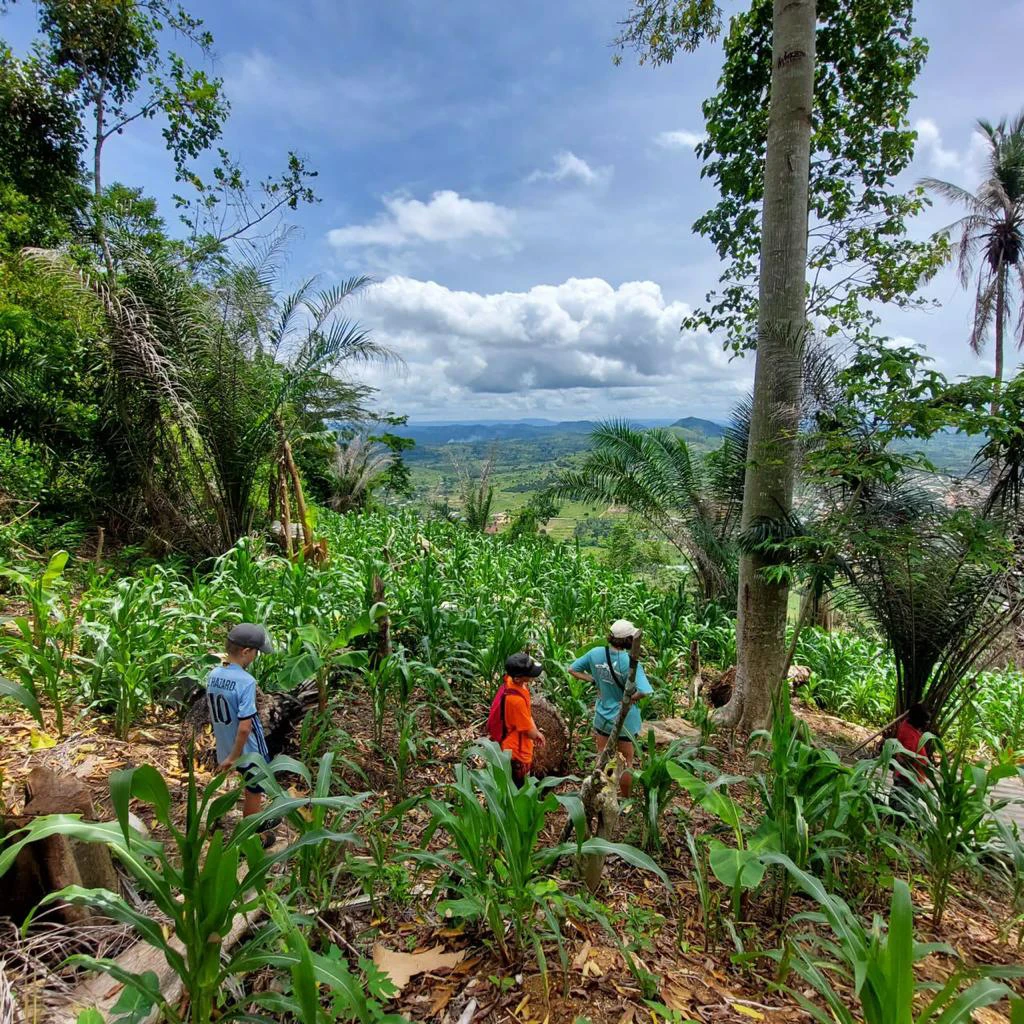 De plantage waarbij de Tale  brouwerij gevestigd is