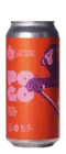 Dois Corvos / Wander Beyond POGO
