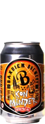 Baxbier Kon Minder 33 Blond Bier kaufen