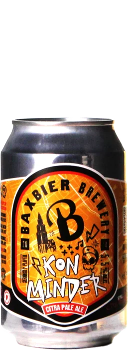 Baxbier Kon Minder 33 Blond Bier kaufen