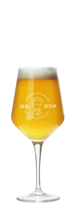 Mr. Hop Verkostungsglas (klein) 19 Bier kaufen