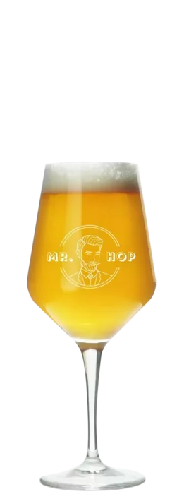 Mr. Hop Verkostungsglas (klein) 19 Bier kaufen