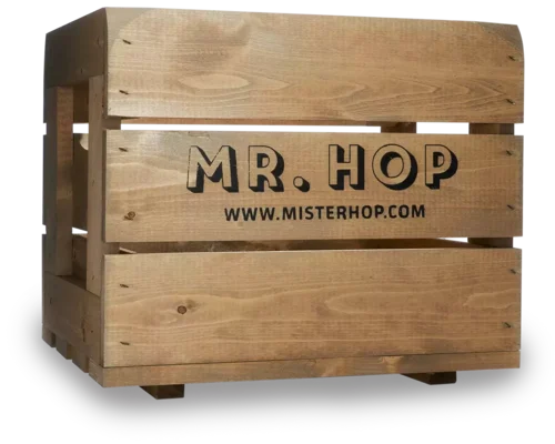 Mr. Hop Kiste Bier kaufen