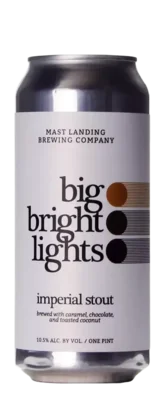 Mast Landing Big Bright Lights 47,3 Stout Bier kopen