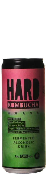Rudy's Kombucha HARD Guava 33 Mixdrank Bier kopen