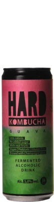 Rudy's Kombucha HARD Guava 33 Mixdrank Bier kopen