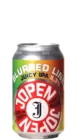 Jopen Blurred Lines 33 IPA Bier kaufen