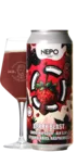LOST / Nepo Brewing Berry Blast 50 Smoothie Bier Bier kopen