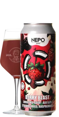 LOST / Nepo Brewing Berry Blast 50 Smoothie Bier Bier kopen