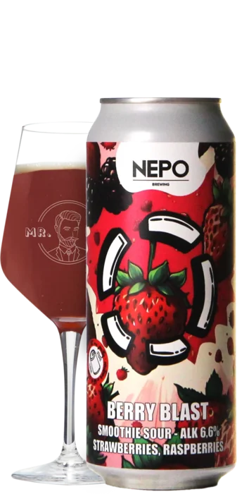 LOST / Nepo Brewing Berry Blast 50 Smoothie Bier Bier kopen